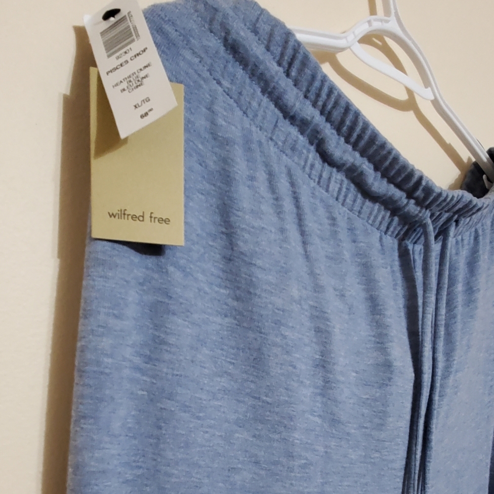 Aritzia Wilfred Lounge Ankle Sweatpant
